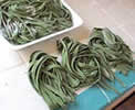 Image showing coiled pasts